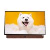 tivi google xach tay di dong full hd 24 inch coocaa 24lp6000g tay cam da